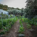 Σπίτι διακοπών Small Paradise Άνδρος