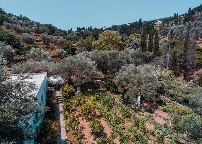 Σπίτι διακοπών Small Paradise Άνδρος