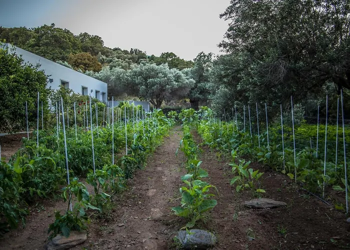 Σπίτι διακοπών Small Paradise Άνδρος