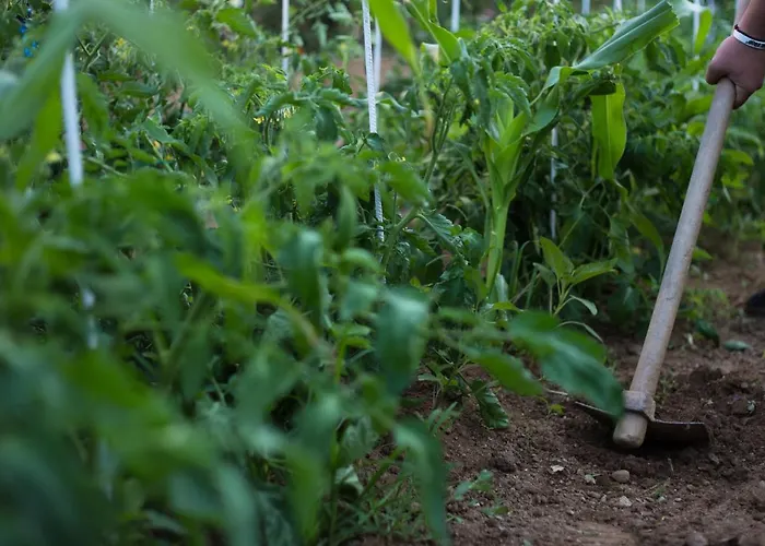 Small Paradise Σπίτι διακοπών *