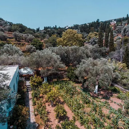 Casa vacanze Small Paradise Ándros