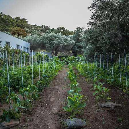 Semesterbostad Small Paradise Ándros