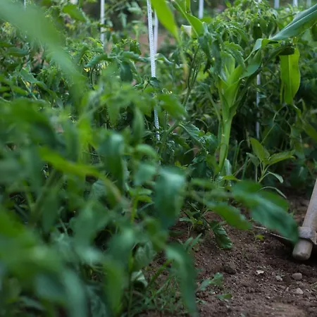 Small Paradise Holiday home *